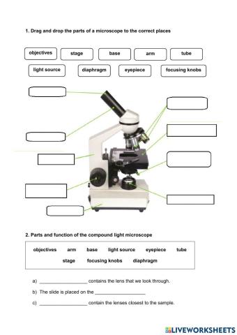 Using a microscope to study living things