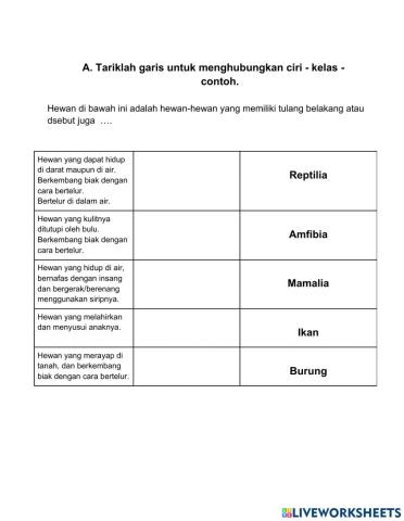 Vertebrata-Invertebrata