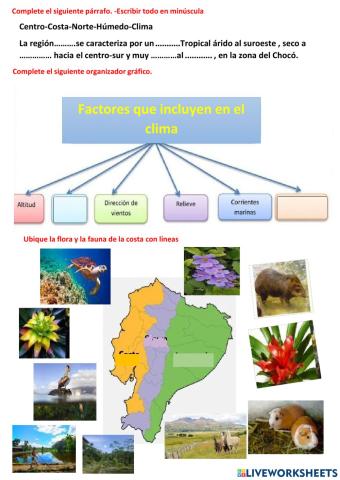 El clima de la costa