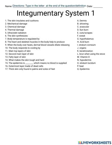 Integumentary system