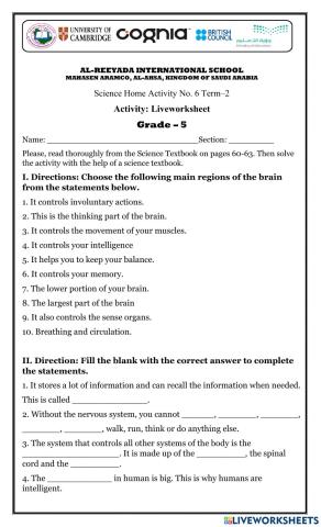 H.M: Nervous System-W6