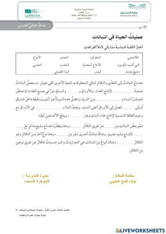 عمليات الحياة في النباتات