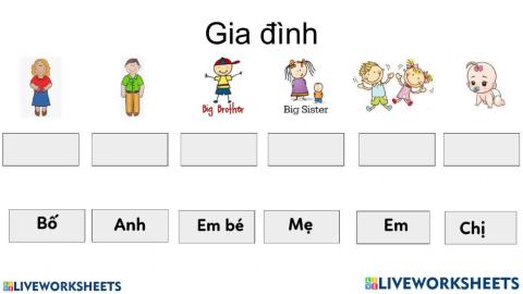 Thành viên gia đình