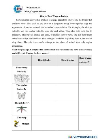 EOW5-Unit 6 - Prewriting