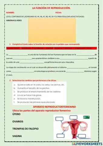 Función de reproducción