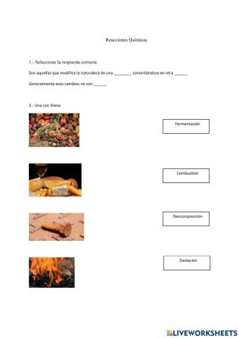 Reaccion Quimicas