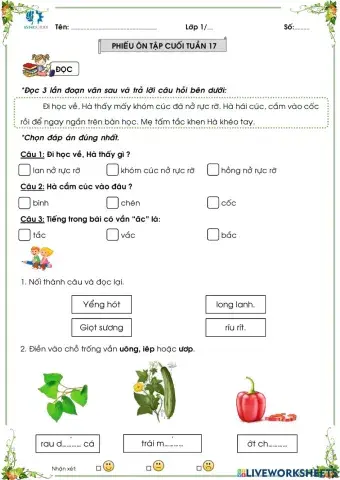 Bai tap cuoi tuan 17