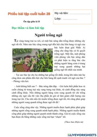 Bài tập cuối tuần 28 Tiếng Việt lớp 5