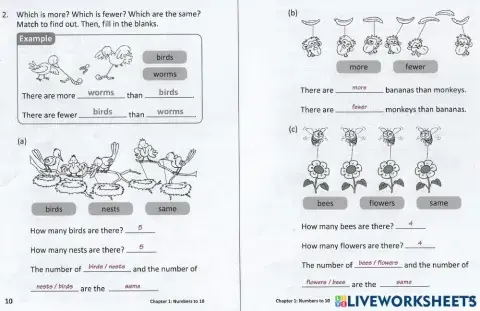 Fewer, Same and More