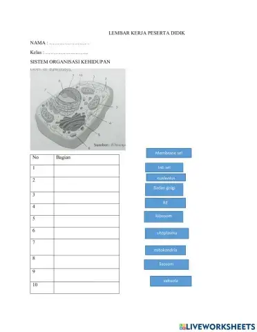 Sistem Organisasi Kehidupan
