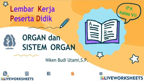 Lembar Kerja Organ dan Sistem Organ