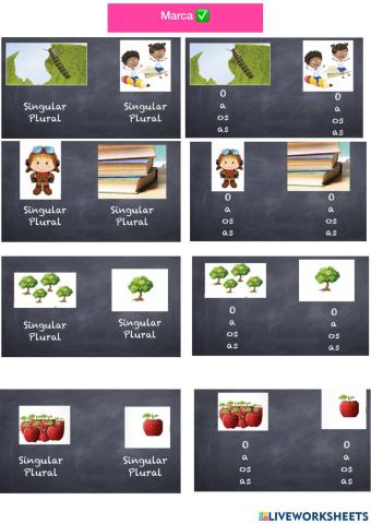 Singular y plural