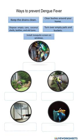 Important Contagious Diseases in Thailand