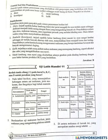 Biologi bab 11 sistem pencernaan pada manusia