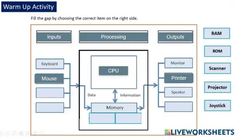 Week 2: Warm up Activity