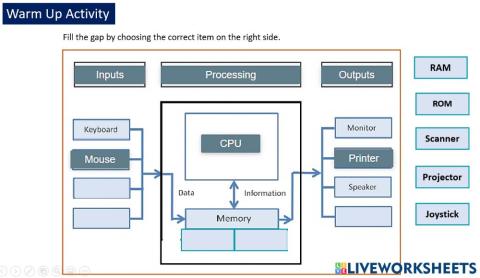 Week 2: Warm up Activity