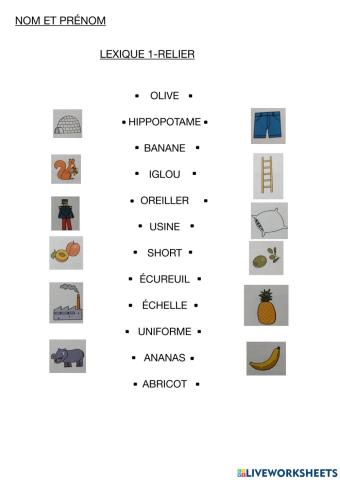 Fichier 1-lexique 1