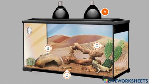 Organisms and Their Environment