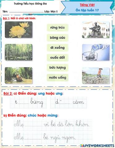 Ôn tập Tiếng Việt tuần 17