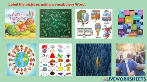 Vocabulary Lesson-11