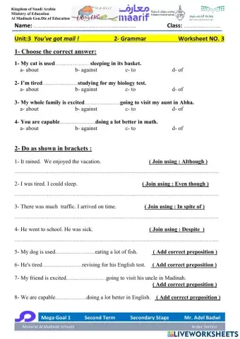 Mega Goal 1.2 Second Term Unit 3 You've got mail! 2-Grammar 2