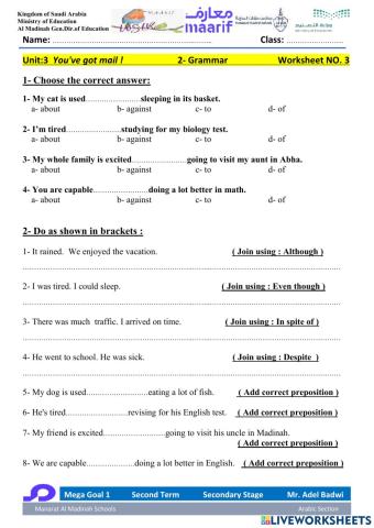 Mega Goal 1.2 Second Term Unit 3 You've got mail! 2-Grammar 2