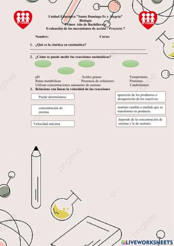 Cinética enzimática