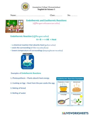 Endothermic and Exothermic Reactions