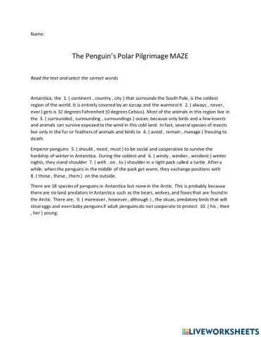 The Penguin's Polar Pilgrimage MAZE
