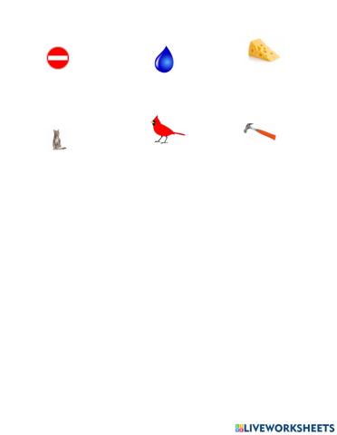 Vocabulaire -spot it-