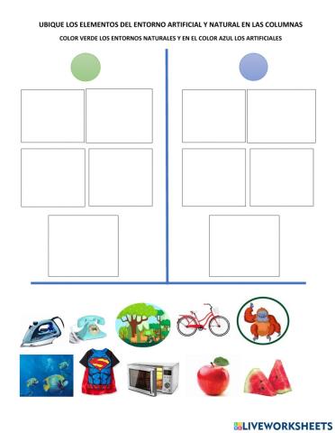 Entorno Natural y Artificial