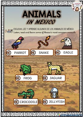Mexican animals learn