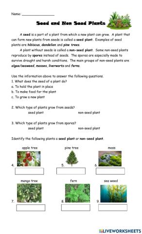 Seed and Non-seed Plants