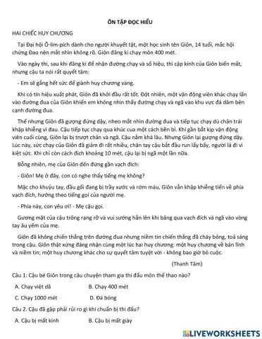 Ôn tập đọc hiểu - cuối hk1