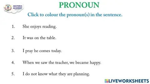 Pronoun