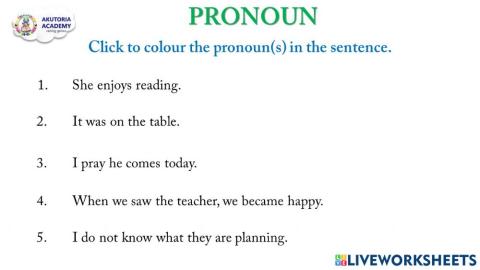 Pronoun
