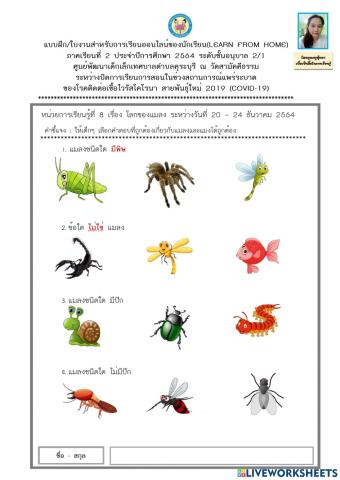 เลือกคำตอบที่ถูกต้องเกี่ยวกับแมลงและแมง 2