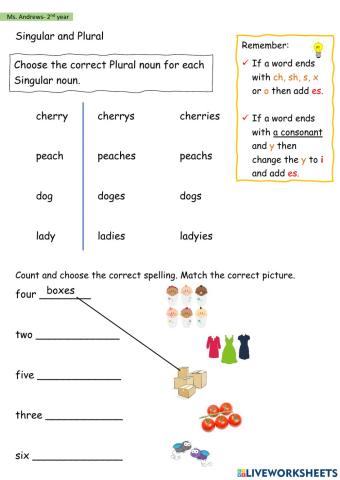 Singular and Plural Review-s-es-ies