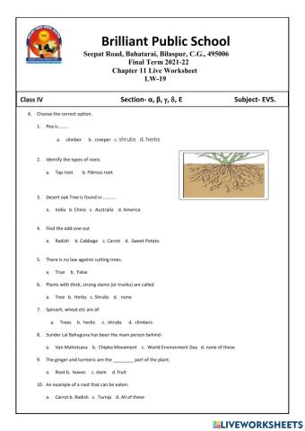 Ch. 19 Abdul in the Garden