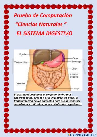 Ciencias naturales
