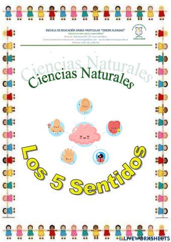 Ciencias Naturales - Los 5 sesntidos