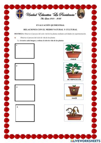 Evaluación Quimestral Relaciones con el Medio Natural