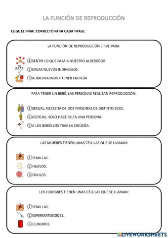 Función de reproducción - 3º