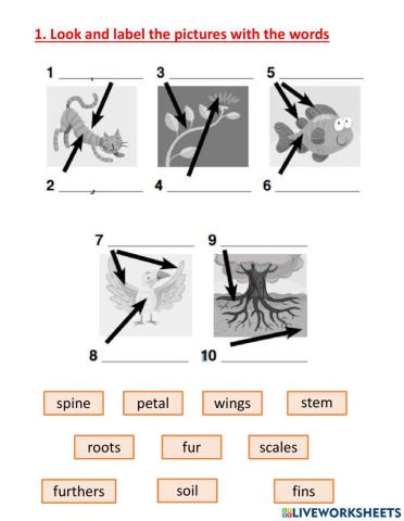 AS4 - U8 - check Vocab