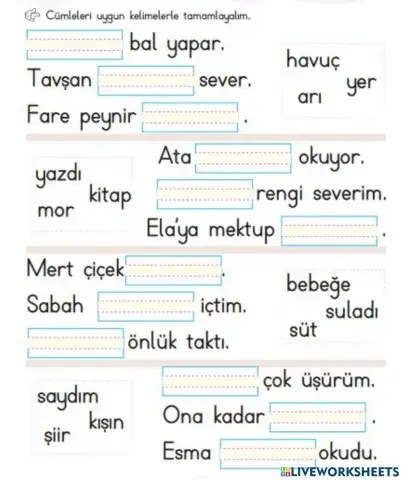 Cümle Tamamlayalım