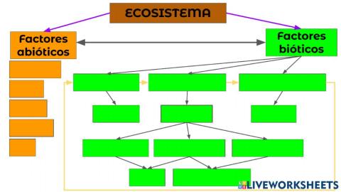 Ecosistemas: Factores abióticos y factores bióticos