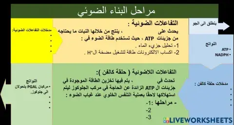 البناء الضوئي