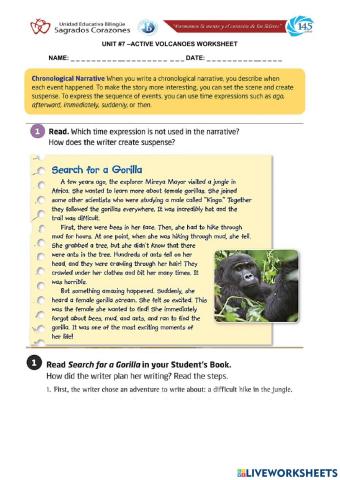 Chronological Narrative