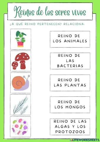 Reinos de los seres vivos