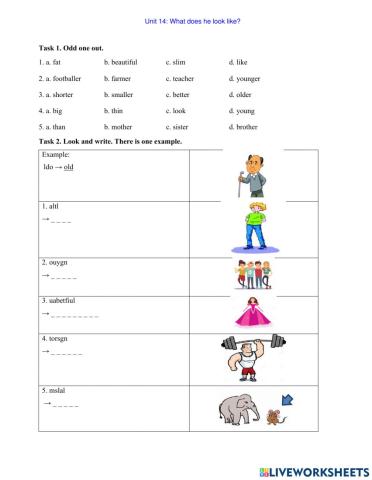 Grade 4-Unit 14-What does he look like?